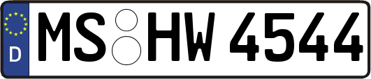 MS-HW4544