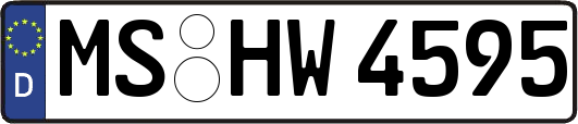 MS-HW4595