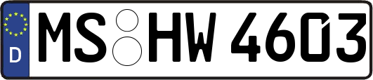 MS-HW4603