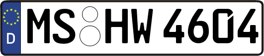 MS-HW4604