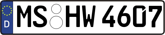 MS-HW4607