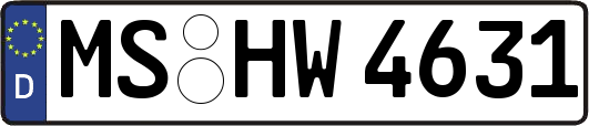 MS-HW4631