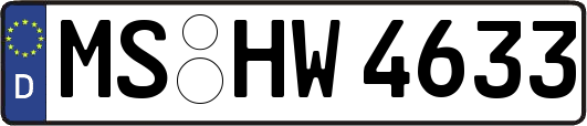 MS-HW4633
