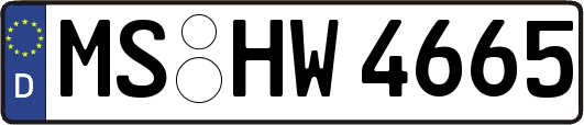 MS-HW4665