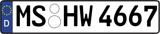 MS-HW4667