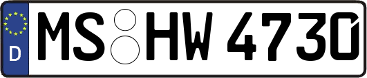 MS-HW4730