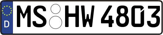 MS-HW4803