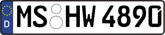 MS-HW4890