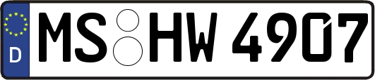 MS-HW4907