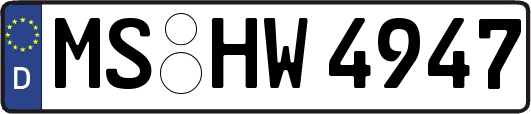 MS-HW4947