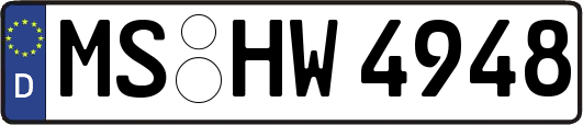MS-HW4948