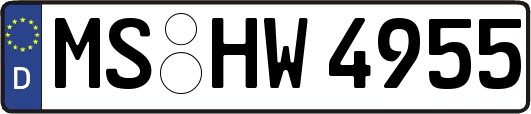 MS-HW4955