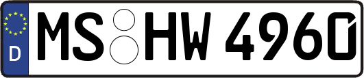 MS-HW4960