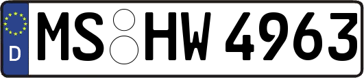 MS-HW4963
