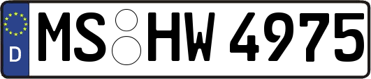 MS-HW4975