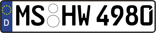 MS-HW4980