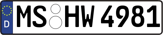 MS-HW4981