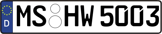 MS-HW5003