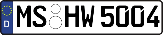 MS-HW5004