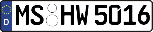 MS-HW5016