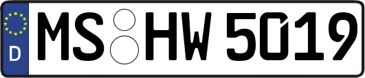 MS-HW5019