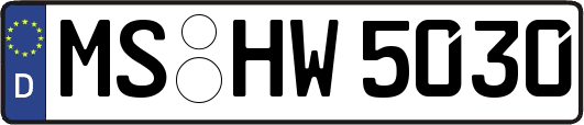 MS-HW5030
