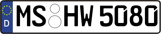 MS-HW5080