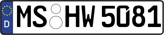 MS-HW5081