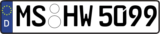MS-HW5099