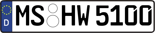MS-HW5100