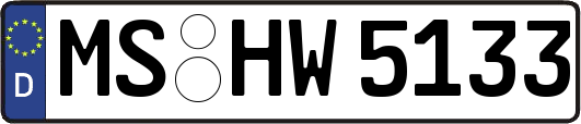 MS-HW5133