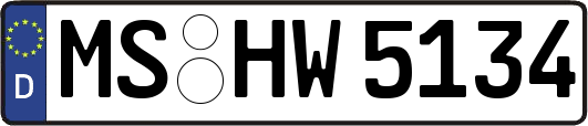 MS-HW5134