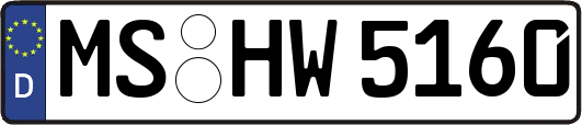 MS-HW5160