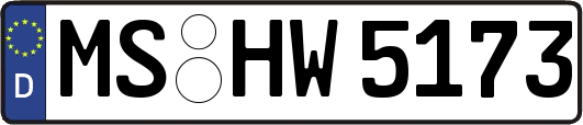 MS-HW5173
