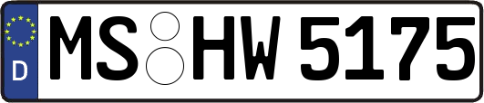 MS-HW5175