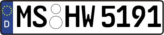 MS-HW5191