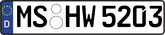 MS-HW5203