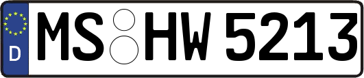 MS-HW5213