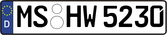 MS-HW5230