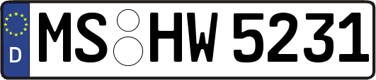MS-HW5231