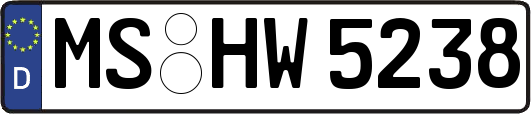 MS-HW5238