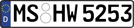 MS-HW5253