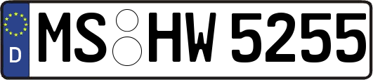 MS-HW5255