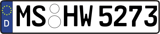 MS-HW5273