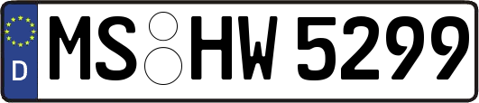 MS-HW5299