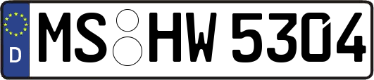 MS-HW5304