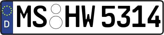 MS-HW5314