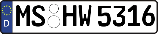 MS-HW5316