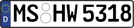 MS-HW5318