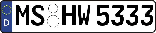 MS-HW5333